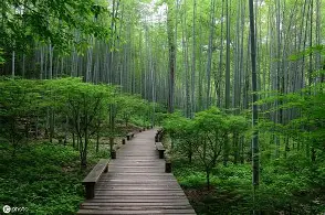 夏特罗队客场大胜,实力逐渐凸显 夏特罗队客场大胜,实力逐渐凸显